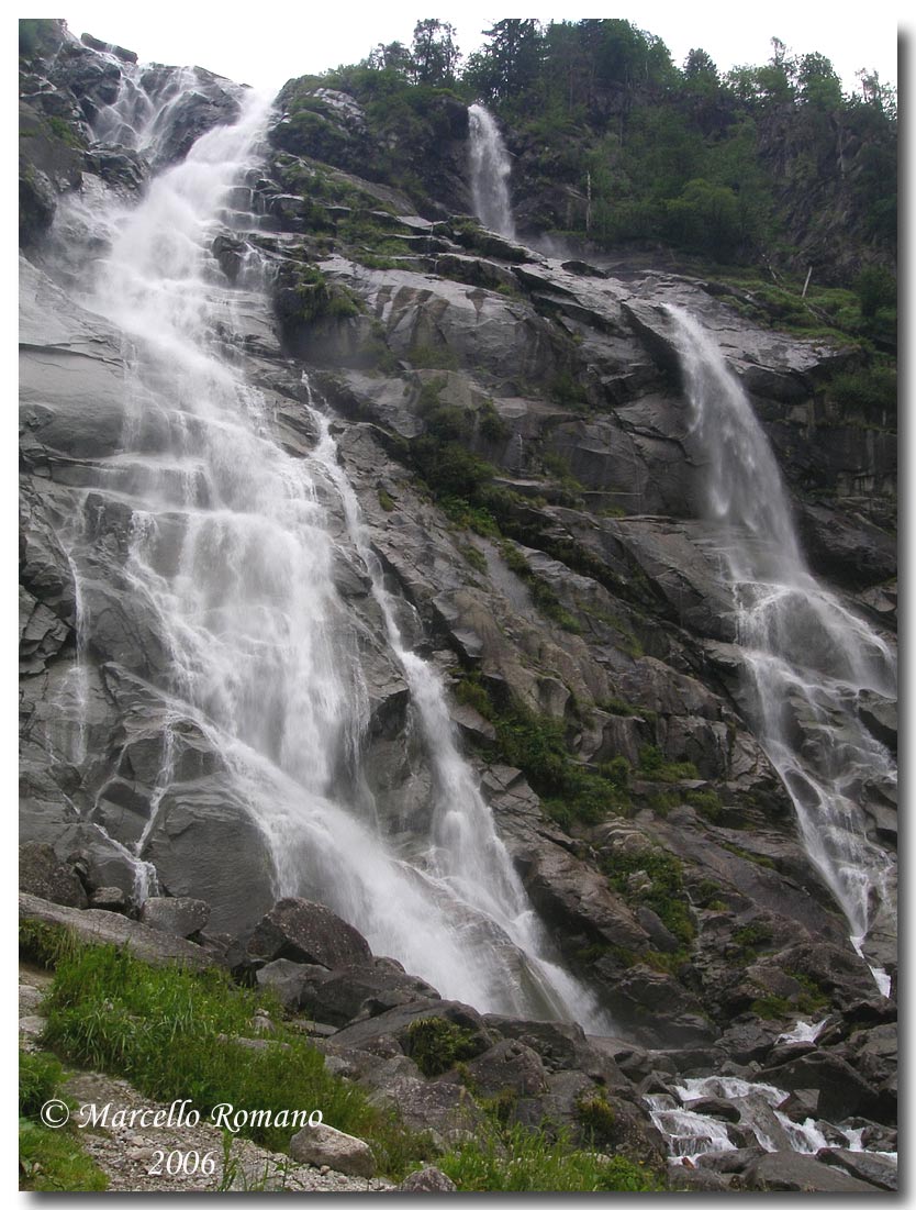 Insetti del Parco Adamello Brenta (TN): immagini e appunti